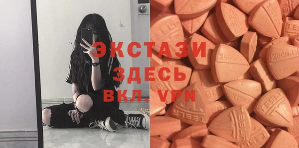 индика Инта