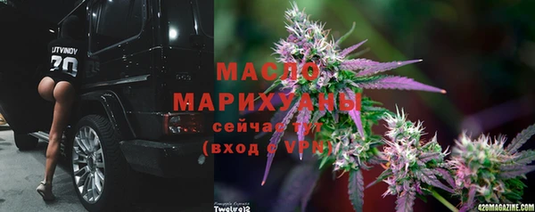 индика Инта