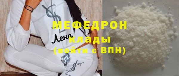 индика Инта