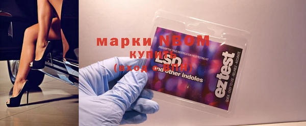 индика Инта