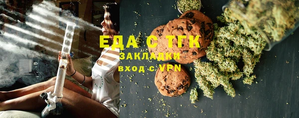 индика Инта