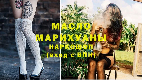 индика Инта