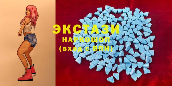 индика Инта