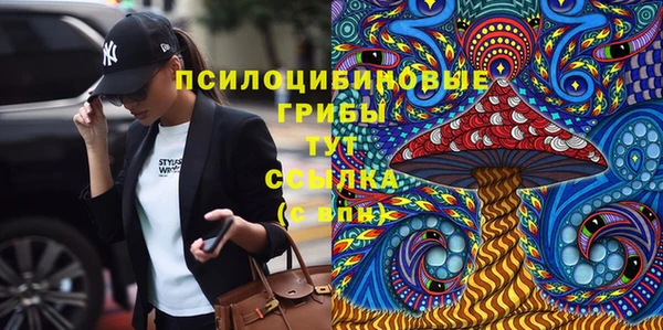 гидра Иннополис